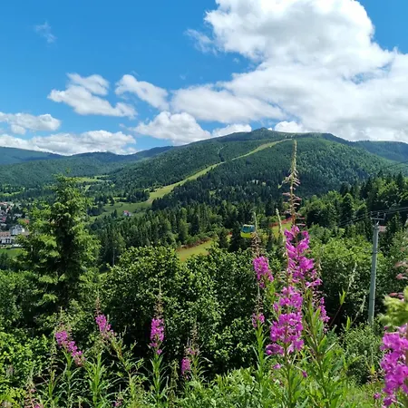 Cabanele View